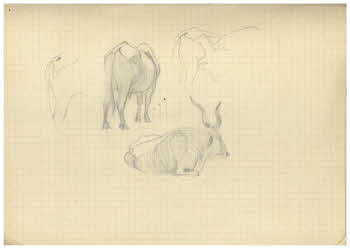 Visualizza l'immagine "FD Album 3, 15"